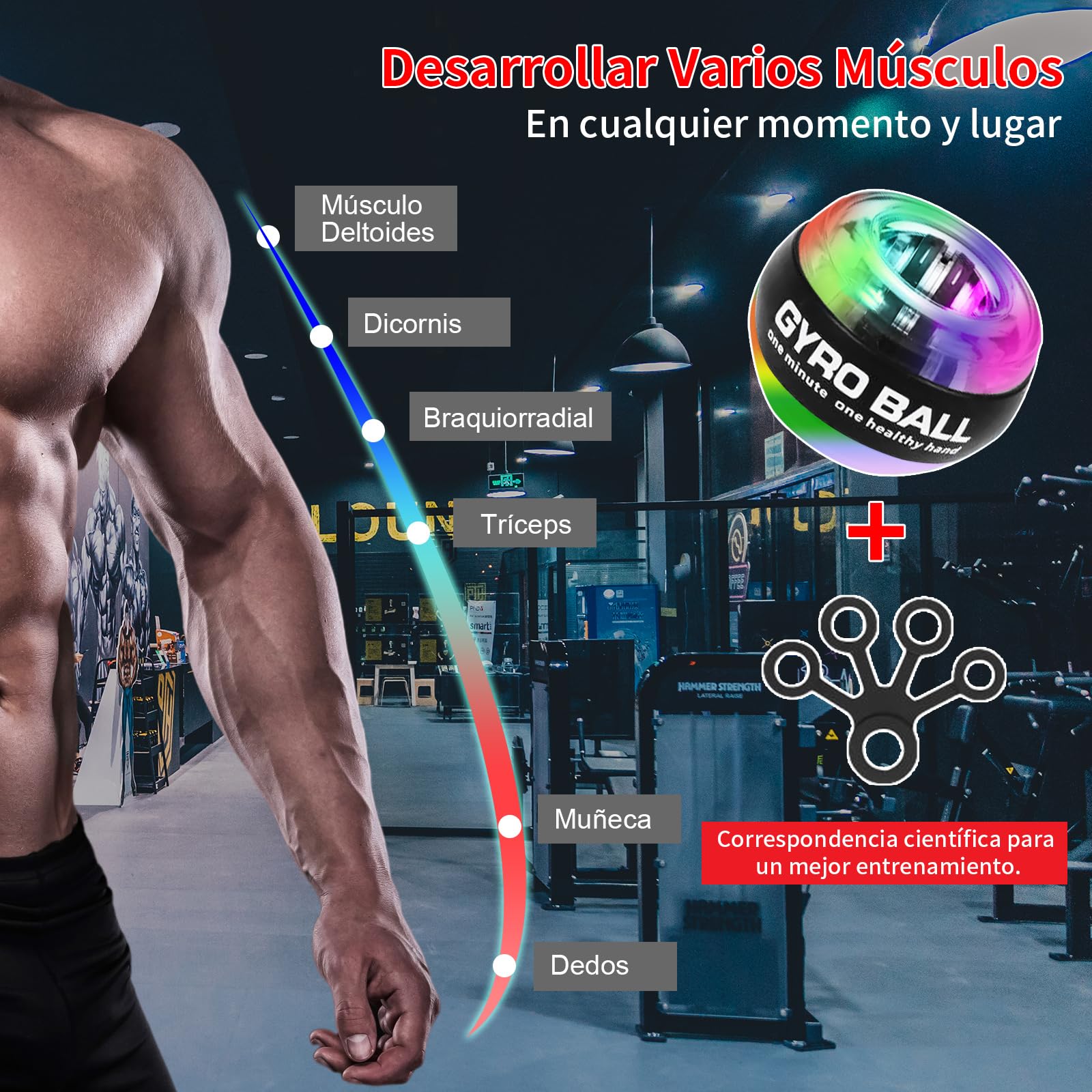 EMAGIE Antebrazo Ejercitador Gyro Ball - Pelota de Giroscopio para Fortalecer Manos, Brazos, Dedos, Muñeca, Huesos y Músculos